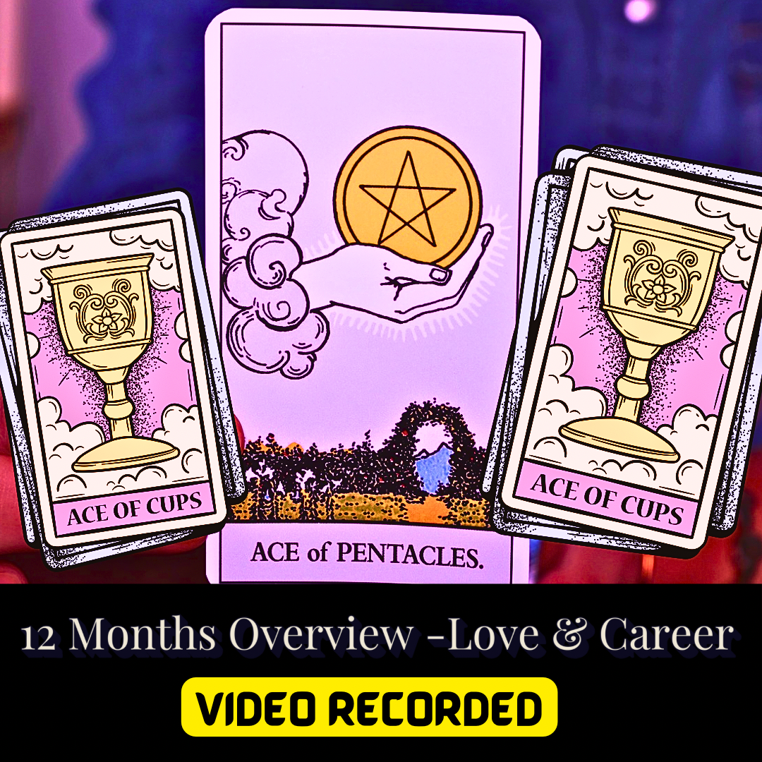 AMOR E CARREIRA - VISÃO GERAL DE 12 MESES